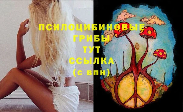 круглые Абаза